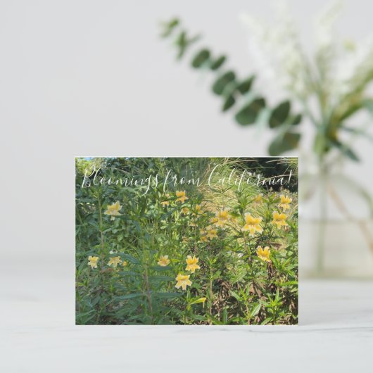 Bloomings uit Californië: Monkeybloem Briefkaart (Staand voorkant)