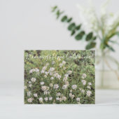 Bloomings uit Californië: Mountain Coyote Mint Briefkaart (Staand voorkant)