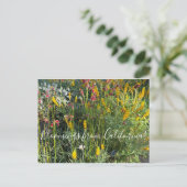 Bloomings uit Californië: Native Meadow Briefkaart (Staand voorkant)