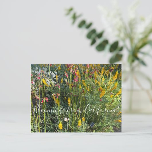 Bloomings uit Californië: Native Meadow Briefkaart (Staand voorkant)