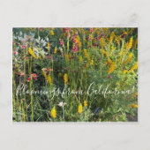 Bloomings uit Californië: Native Meadow Briefkaart (Voorkant)