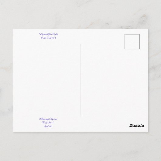 Bloomings uit Californië: Pacifische kustIrises Briefkaart (Achterkant)