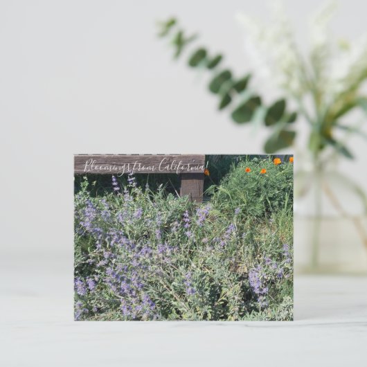Bloomings uit Californië: Sage Poppies Briefkaart (Staand voorkant)