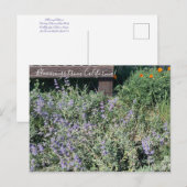 Bloomings uit Californië: Sage Poppies Briefkaart (Voorkant / Achterkant)