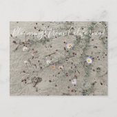 Bloomings uit Californië: Sand Aster Briefkaart (Voorkant)