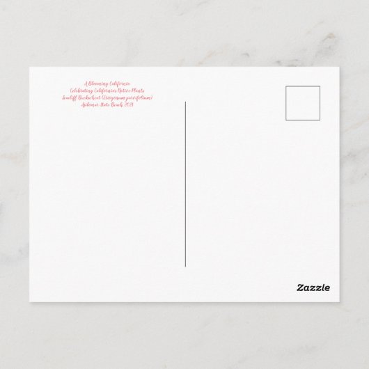 Bloomings uit Californië: Seacliff Buckwheat Post Briefkaart (Achterkant)