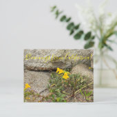 Bloomings uit Californië: Seep Monkey Flower Briefkaart (Staand voorkant)