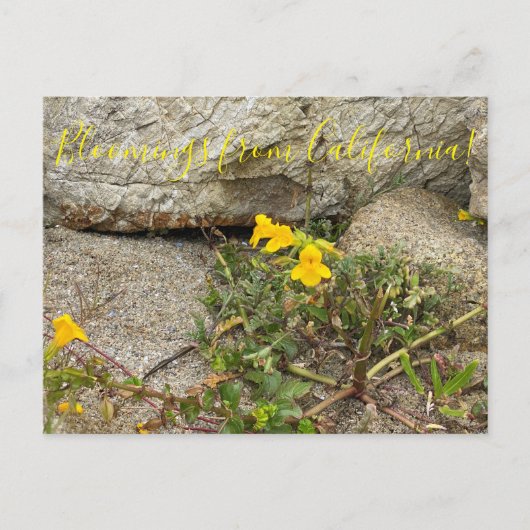 Bloomings uit Californië: Seep Monkey Flower Briefkaart (Voorkant)