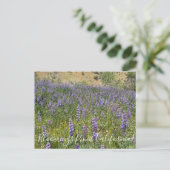 Bloomings uit Californië: Sky Lupines Briefkaart (Staand voorkant)