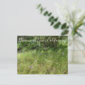 Bloomings uit Californië: Spear van Ithuriel Briefkaart (Staand voorkant)