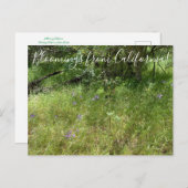 Bloomings uit Californië: Spear van Ithuriel Briefkaart (Voorkant / Achterkant)