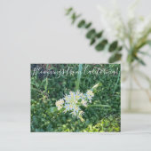 Bloomings uit Californië: Star Lily Briefkaart (Staand voorkant)