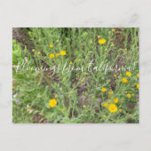 Bloomings uit Californië: Telegraph Flowers Postc Briefkaart (Voorkant)