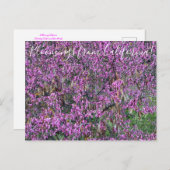 Bloomings uit Californië: Western Briefkaart van R (Voorkant / Achterkant)