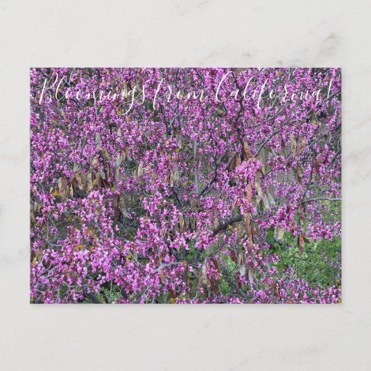 Bloomings uit Californië: Western Briefkaart van R (Voorkant)