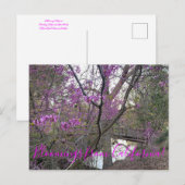 Bloomings uit Californië: Western Briefkaart van R (Voorkant / Achterkant)