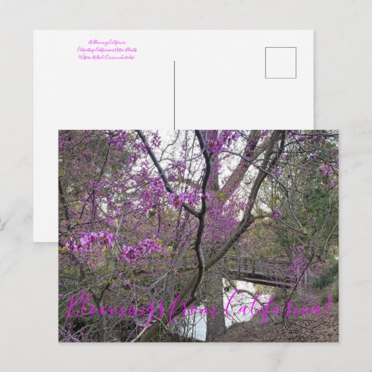 Bloomings uit Californië: Western Briefkaart van R (Voorkant / Achterkant)