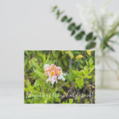 Bloomings uit Californië: Westerne Azalea Briefkaart (Staand voorkant)