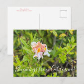 Bloomings uit Californië: Westerne Azalea Briefkaart (Voorkant / Achterkant)