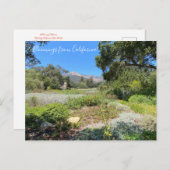 Bloomings uit Californië: Westerne Columbine Briefkaart (Voorkant / Achterkant)