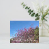 Bloomings uit Californië: Westerne Redbud Briefkaart (Staand voorkant)