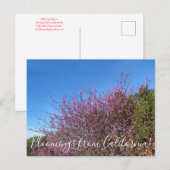 Bloomings uit Californië: Westerne Redbud Briefkaart (Voorkant / Achterkant)