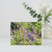 Bloomings uit Californië: Wooly Bluecurls Briefkaart (Staand voorkant)