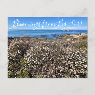 Bloomings uit Californië: Zee Cliff Buckwheat Briefkaart