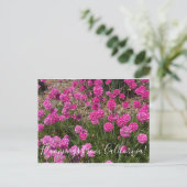 Bloomings uit Californië: Zee roze Briefkaart (Staand voorkant)