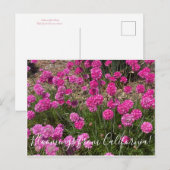 Bloomings uit Californië: Zee roze Briefkaart (Voorkant / Achterkant)