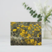 Bloomings uit Californië: Zonnebloem Briefkaart (Staand voorkant)