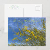 Bloomings uit het Californische woestijnmuseum Pal Briefkaart (Voorkant / Achterkant)