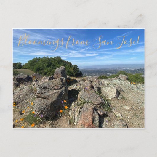 Bloomings uit San Jose! Briefkaart (Voorkant)