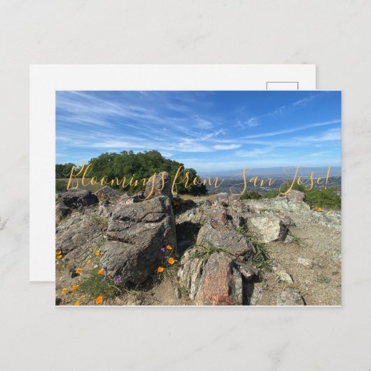 Bloomings uit San Jose! Briefkaart (Voorkant / Achterkant)