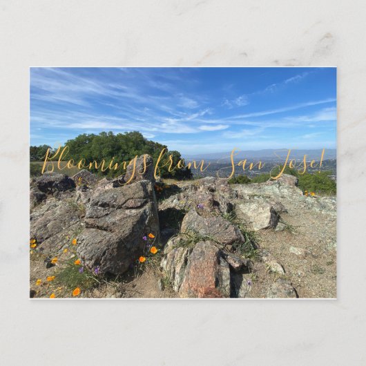 Bloomings uit San Jose! Briefkaart (Voorkant)