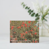 Bloomings uit Sunnyvale: California Fuchsia Briefkaart (Staand voorkant)