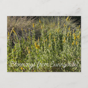 Bloomings uit Sunnyvale: California Goldenrod Briefkaart