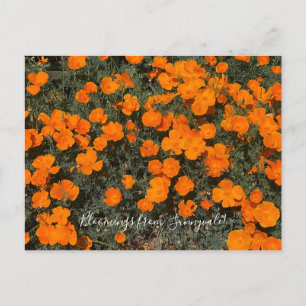 Bloomings uit Sunnyvale: California Poppy Day Briefkaart
