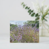Bloomings uit Sunnyvale: Cleveland Sage Briefkaart (Staand voorkant)