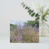 Bloomings uit Sunnyvale: Cleveland Sage Briefkaart (Staand voorkant)
