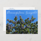 Bloomings uit Sunnyvale: Ray Hartman Ceanothus Briefkaart (Voorkant / Achterkant)