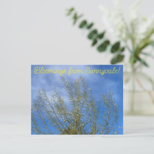 Bloomings uit Sunnyvale: Woestijnmuseum Palo Verde Briefkaart (Staand voorkant)