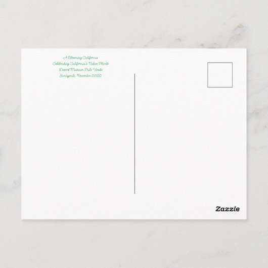 Bloomings uit Sunnyvale: Woestijnmuseum Palo Verde Briefkaart (Achterkant)