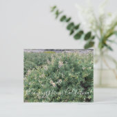 Bloomings van Californië: Kustlijn Struik Lupine Briefkaart (Staand voorkant)