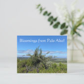 Bloomings van Palo Alto! Briefkaart (Staand voorkant)
