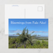 Bloomings van Palo Alto! Briefkaart (Voorkant / Achterkant)
