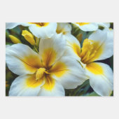 Bloompenselen Inpakpapier Vel (Voorkant 2)