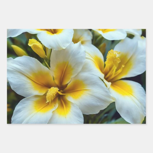 Bloompenselen Inpakpapier Vel (Voorkant 2)