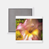 Bloomroze gloeidraad magneet (Voorkant / Achterkant)