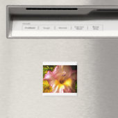 Bloomroze gloeidraad magneet (Insitu (Vaatwasser))